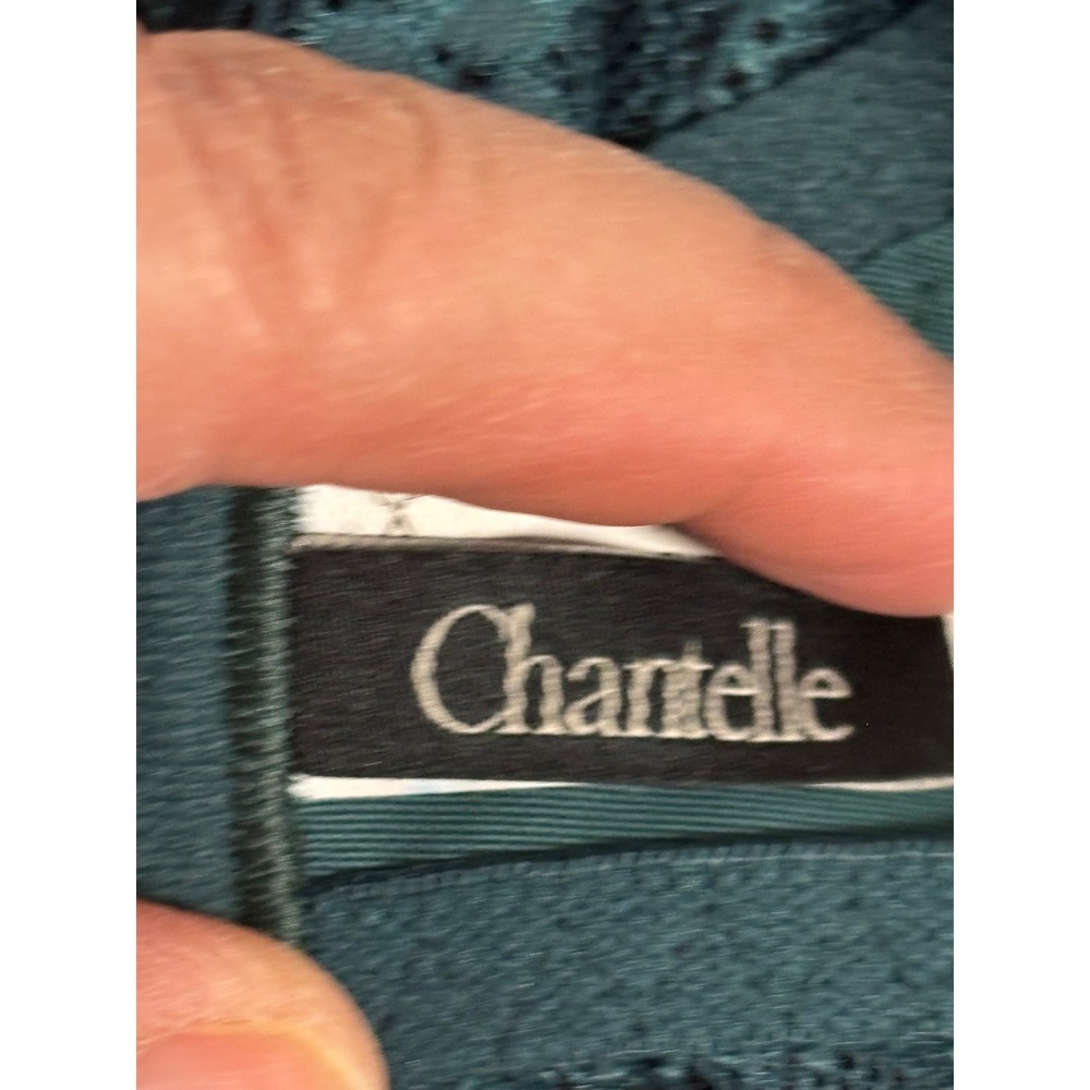 Chantelle Teal Blue Lace Underwire Bra Floral Mesh 3281‎ Womens Size 40D - Picture 4 of 6